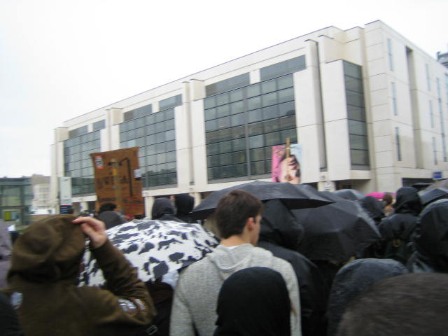 IMG_4597.jpg