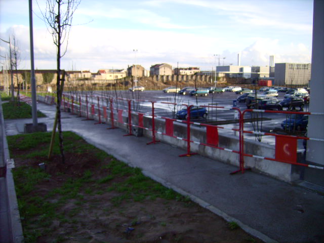 LPIC0312.JPG