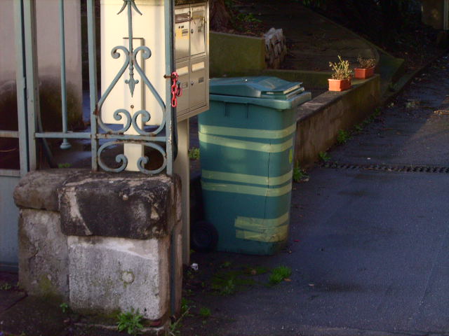 LPIC0313.JPG