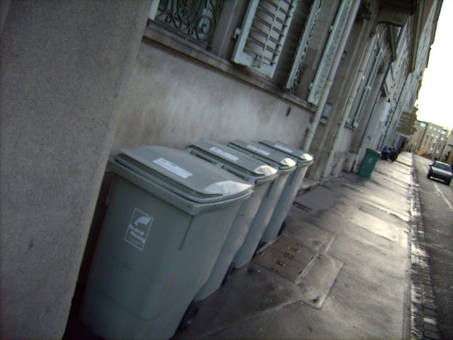 LPIC0317.JPG